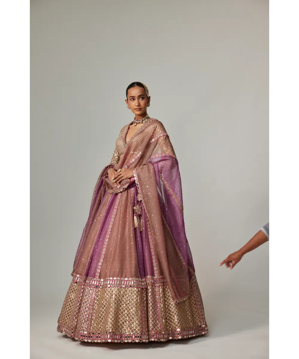 VVANI VATS - Mud mauve multicolor Chita Sequin Scattered Lehenga Set with V neck Full Sleeve